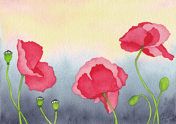 Aquarelle Pavots Coquelicots Serie Pavots Acr en Ciel CatMat